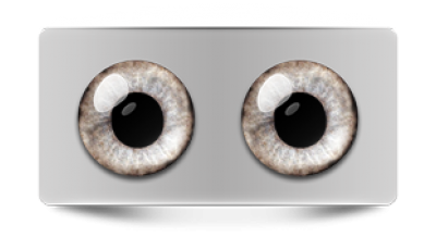 Звериные_02977