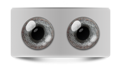 Звериные_02979