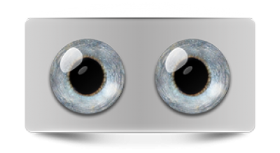 Звериные_02980