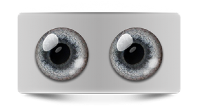 Звериные_02981