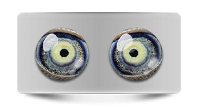 Звериные_02982