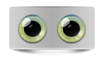 Звериные_02985