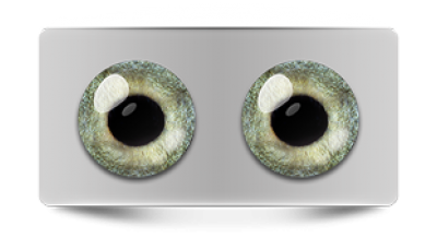 Звериные_02986