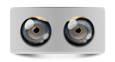 Звериные_02992