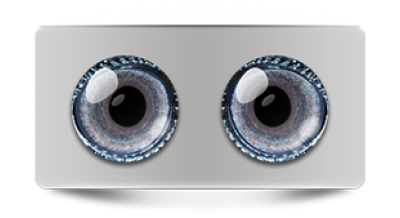 Звериные_02993