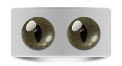 Звериные_20002