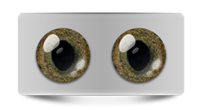 Звериные_20003