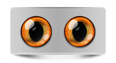 Звериные_20010