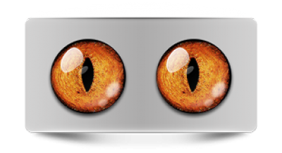 Звериные_20014