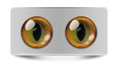 Звериные_20016