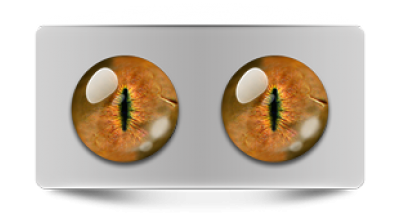 Звериные_20020