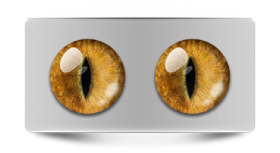 Звериные_20021