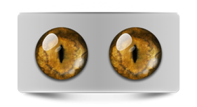 Звериные_20022