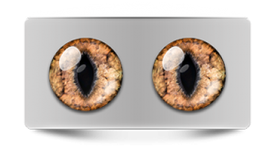 Звериные_20023