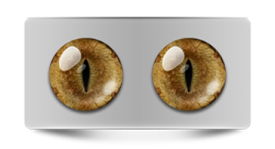 Звериные_20029