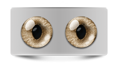 Звериные_20030