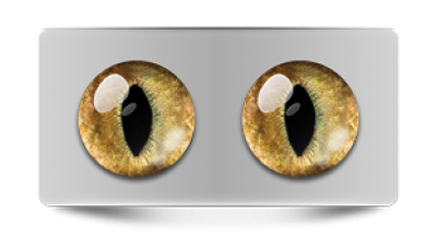 Звериные_20036