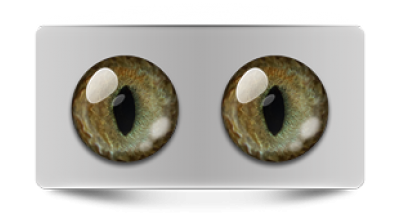 Звериные_20037