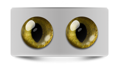 Звериные_20041