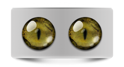 Звериные_20042