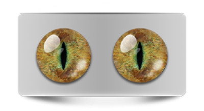 Звериные_20047