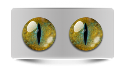 Звериные_20048