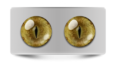 Звериные_20049