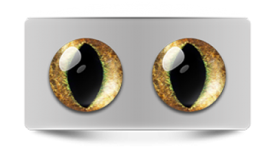 Звериные_20052