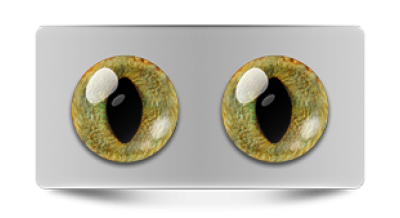 Звериные_20053