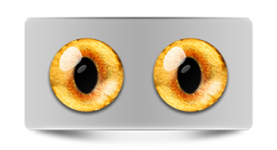 Звериные_20054