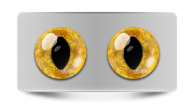 Звериные_20058