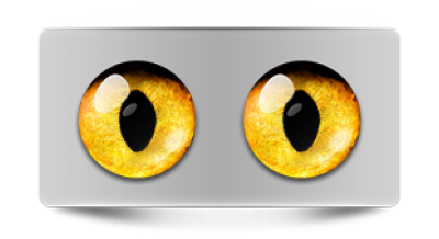 Звериные_20059