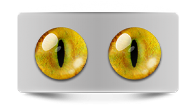 Звериные_20061