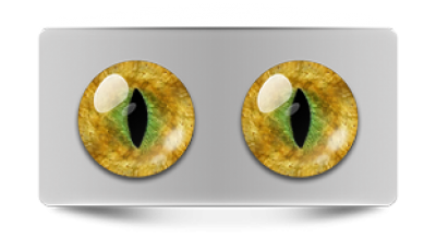 Звериные_20062