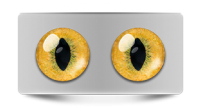 Звериные_20063