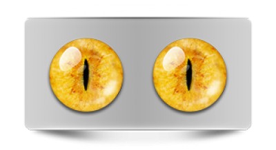 Звериные_20064