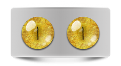 Звериные_20065