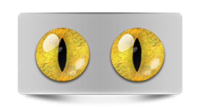 Звериные_20066