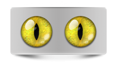 Звериные_20067