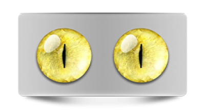 Звериные_20070