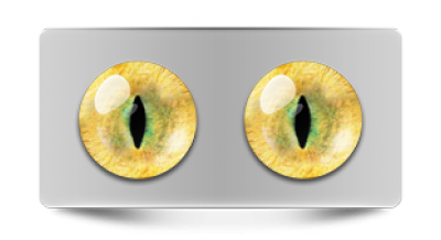 Звериные_20071