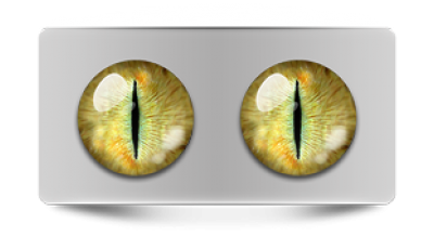 Звериные_20072