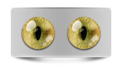 Звериные_20073