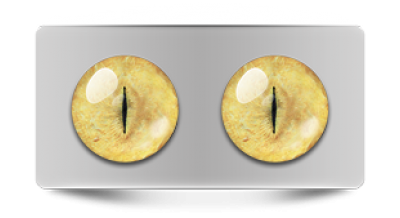 Звериные_20074