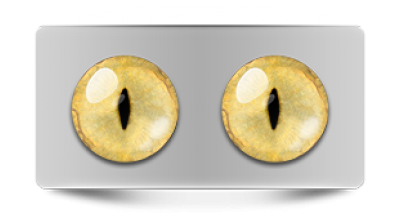 Звериные_20075