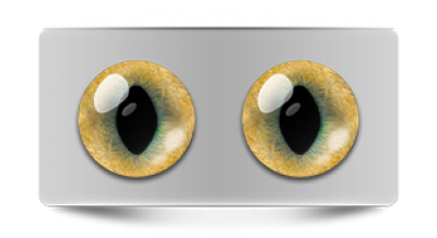 Звериные_20078