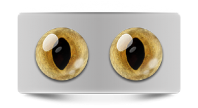 Звериные_20079