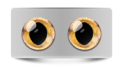 Звериные_20080