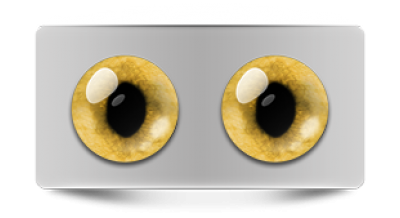 Звериные_20082