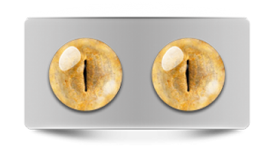 Звериные_20087